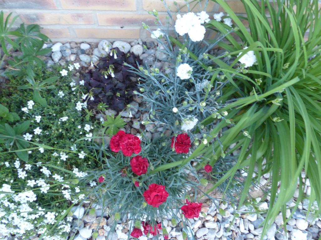La Flore De Lys, Ideal Pour 2 Adultes Et 2 Enfants Holiday home