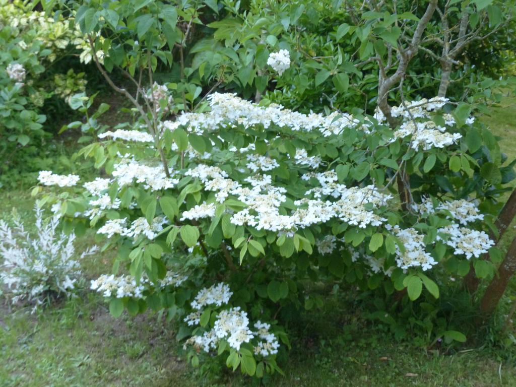 La Flore De Lys, Ideal Pour 2 Adultes Et 2 Enfants Holiday home *