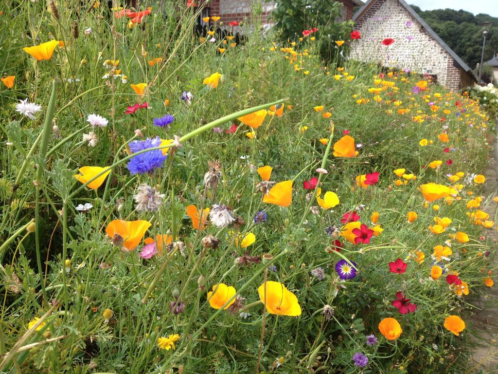 La Flore De Lys, Ideal Pour 2 Adultes Et 2 Enfants *